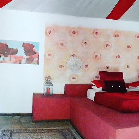 Gecko Nature Lodge Home Of Swahili Divers The Best Dive Center And Famous Gecko Restaurant Verani Exterior foto