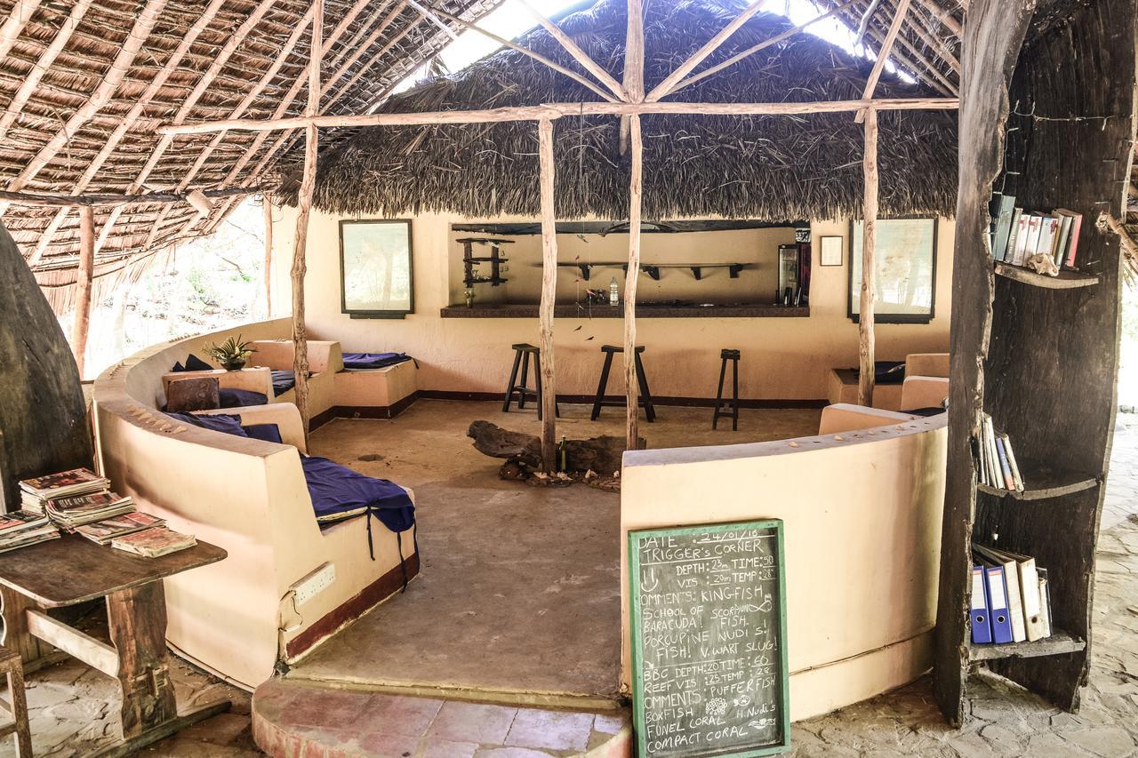 Gecko Nature Lodge Home Of Swahili Divers The Best Dive Center And Famous Gecko Restaurant Verani Exterior foto