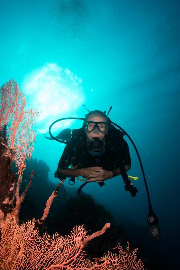 Gecko Nature Lodge Home Of Swahili Divers The Best Dive Center And Famous Gecko Restaurant Verani Exterior foto
