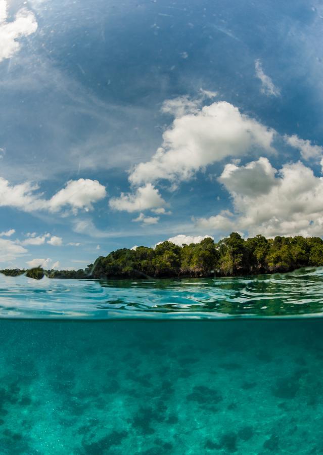 Gecko Nature Lodge Home Of Swahili Divers The Best Dive Center And Famous Gecko Restaurant Verani Exterior foto