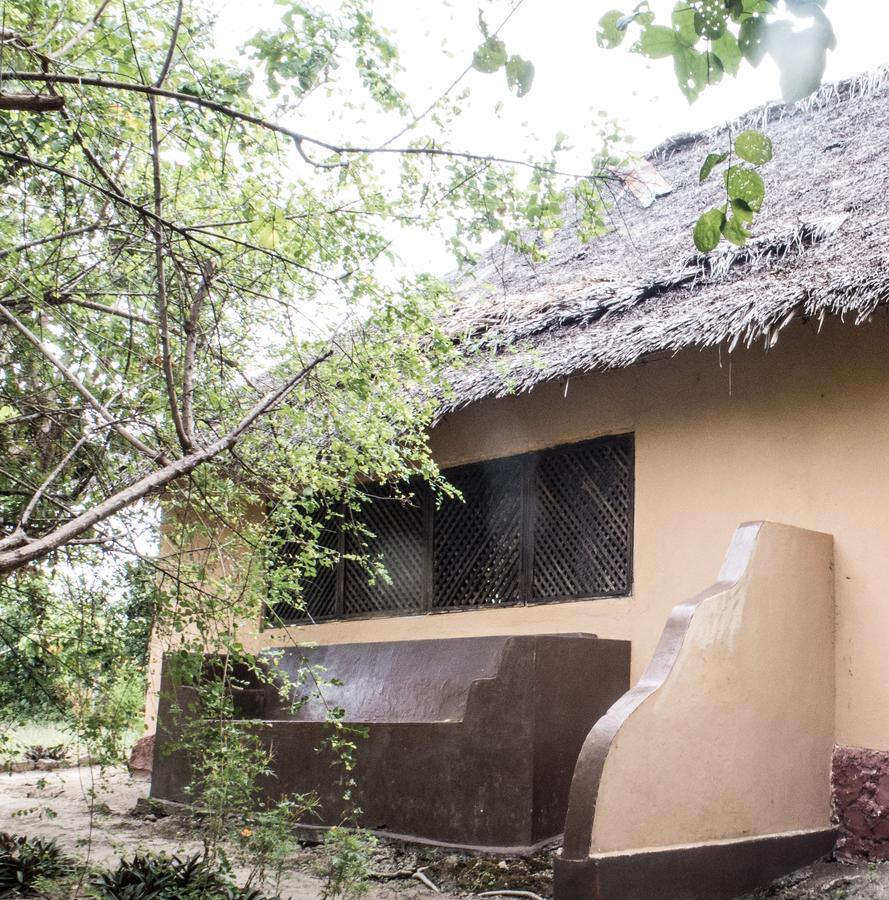 Gecko Nature Lodge Home Of Swahili Divers The Best Dive Center And Famous Gecko Restaurant Verani Exterior foto
