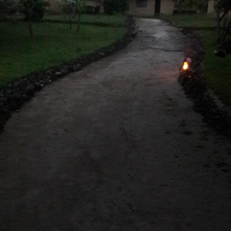 Gecko Nature Lodge Home Of Swahili Divers The Best Dive Center And Famous Gecko Restaurant Verani Exterior foto